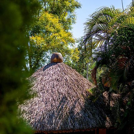 Hotel Casa Yunenisa Oaxaca Dış mekan fotoğraf