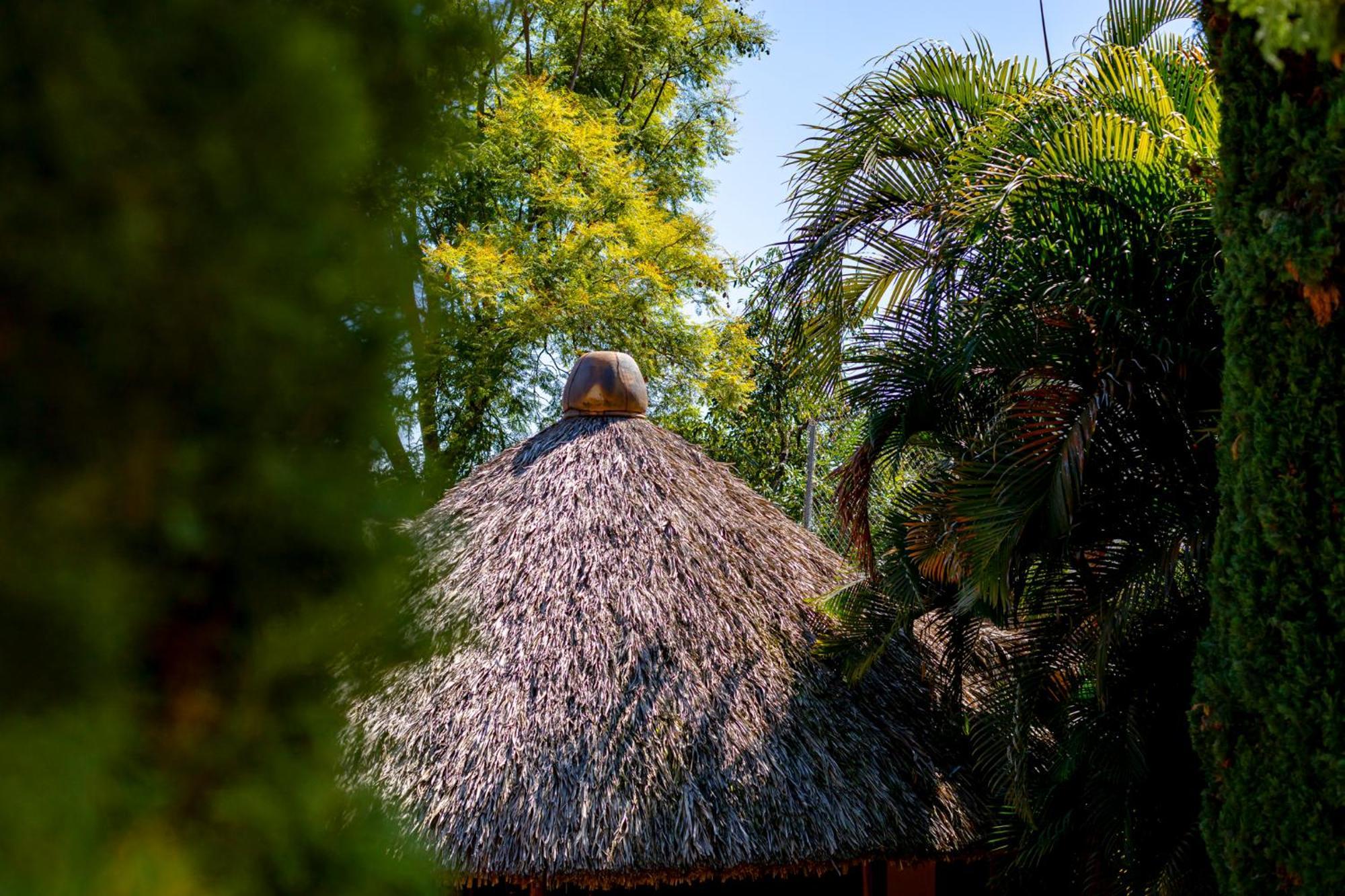 Hotel Casa Yunenisa Oaxaca Dış mekan fotoğraf